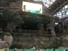 -杭州开元森泊度假乐园