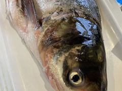 -铭记蛙小仙·活蛙畅享(CBD万达广场店)