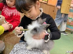 -藦茜花园宠物主题亲子互动体验馆(国顺东路店)
