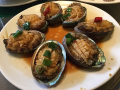 清蒸中鲍鱼-渔家颂歌渔家味道(青石路店)