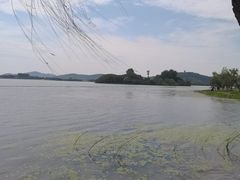 -渤公岛生态公园