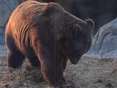 -祥源·阜阳生态乐园