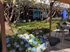 -ommo cafe(半岛城邦店)