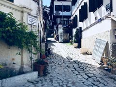 -萨夫兰博卢