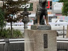 -涩谷区