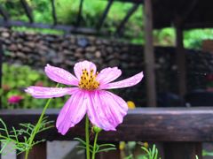 -杭州黄龙洞