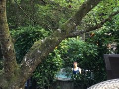 -黄山温泉国际旅游度假区