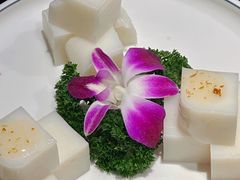 -陈麻婆豆腐(旗舰店)