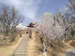 -青城公园