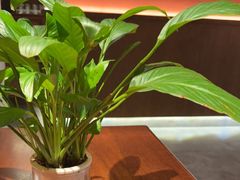 -烹湘·鲜炒湖南土菜(海珠店)