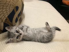 -上海市松江区中心医院