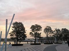 -宝安西湾红树林湿地公园