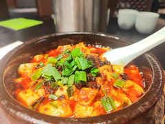 -陈麻婆豆腐(旗舰店)