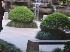 -世纪同乐绿地世纪城二期