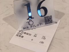 -飞行喵MR PILOT|猫舍·猫咖(静安大融城店)