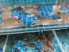 -宾朋海鲜美食特色餐厅·纯手工鲅鱼水饺(兴海路店)