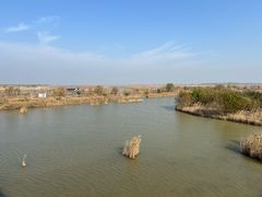 -盐城丹顶鹤湿地生态旅游区