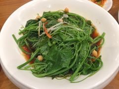 炒丝瓜苗-巴依老爷新疆美食(望京小街店)