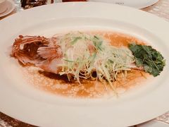 -8餐厅(新葡京酒店)