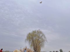 -漕湖湿地公园