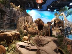 -陕西自然博物馆