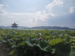 -西湖游船