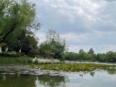 -云龙湖旅游景区