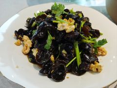 -洞庭家宴·头牌甲鱼(广渠门店)