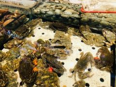 -海鲜烧烤