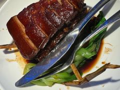 东坡草扎肉-桂满陇天书(南京德基旗舰店)