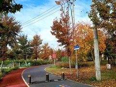 -上海长兴岛郊野公园