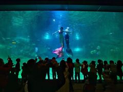 -福州罗源湾海洋世界旅游区