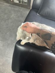 -極致刺青TATTOO STUDIO 私人订制