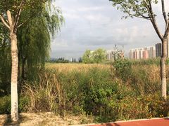 -永定河休闲森林公园