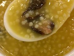 -碧中海汤泉汗蒸酒店