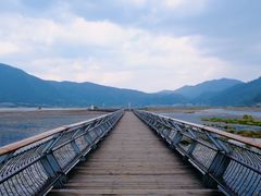 -腾冲北海湿地