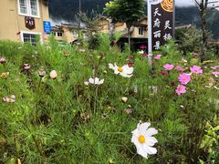 -石棉县孟获城