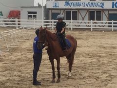 -大连凯洋马术俱乐部有限公司