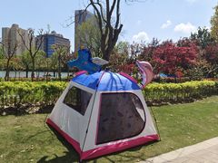 -黄兴公园