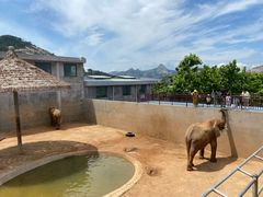 -西霞口神雕山野生动物世界
