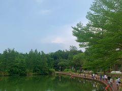 -茶溪谷