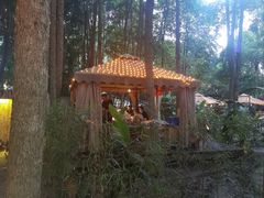 -二荆条·蜀鲜汇城市森林火锅