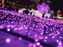 -札幌电视塔