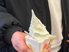 -野人先生Gelato(上海长宁龙之梦店)