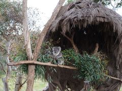 -威勒比开放式动物园