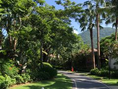 -亚龙湾喜来登·美景台大堂吧