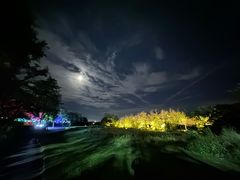 -秦皇岛阿尔卡迪亚滨海度假酒店