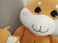 -天真蓝照相馆(宁波来福士店)