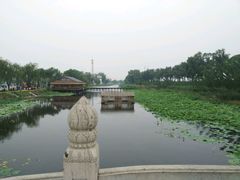 -白洋淀景区