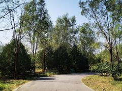 -东郊湿地公园
